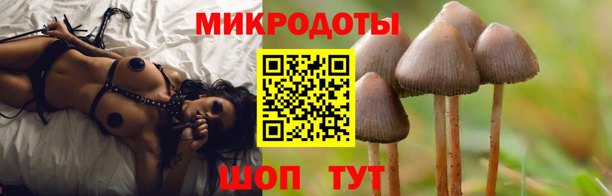 Псилоцибиновые грибы ЛСД  Вход с VPN  Псилоцибиновые грибы мухоморы  Саяногорск 