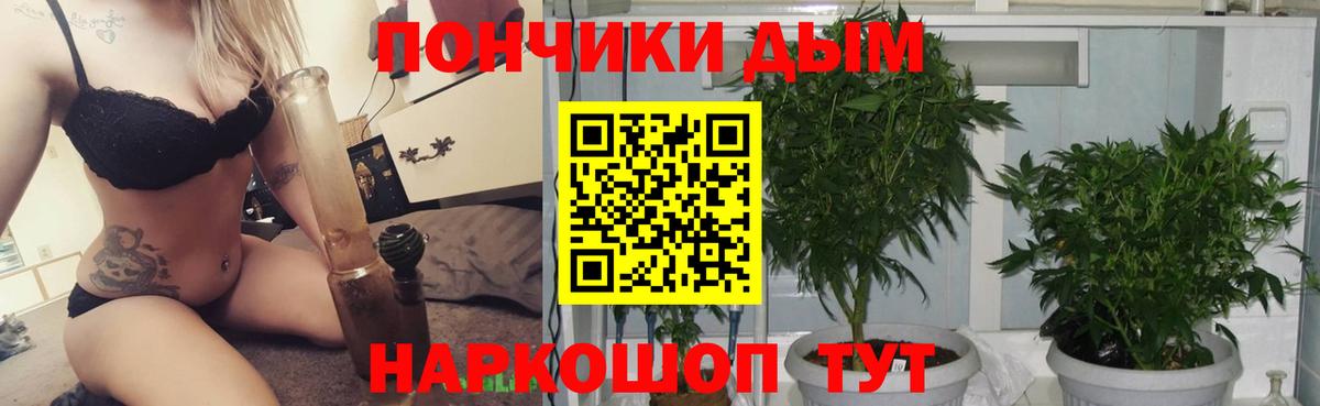 Конопля план  МАРИХУАНА OG Kush  Вход с VPN  Саяногорск  Шишки марихуана марихуана 